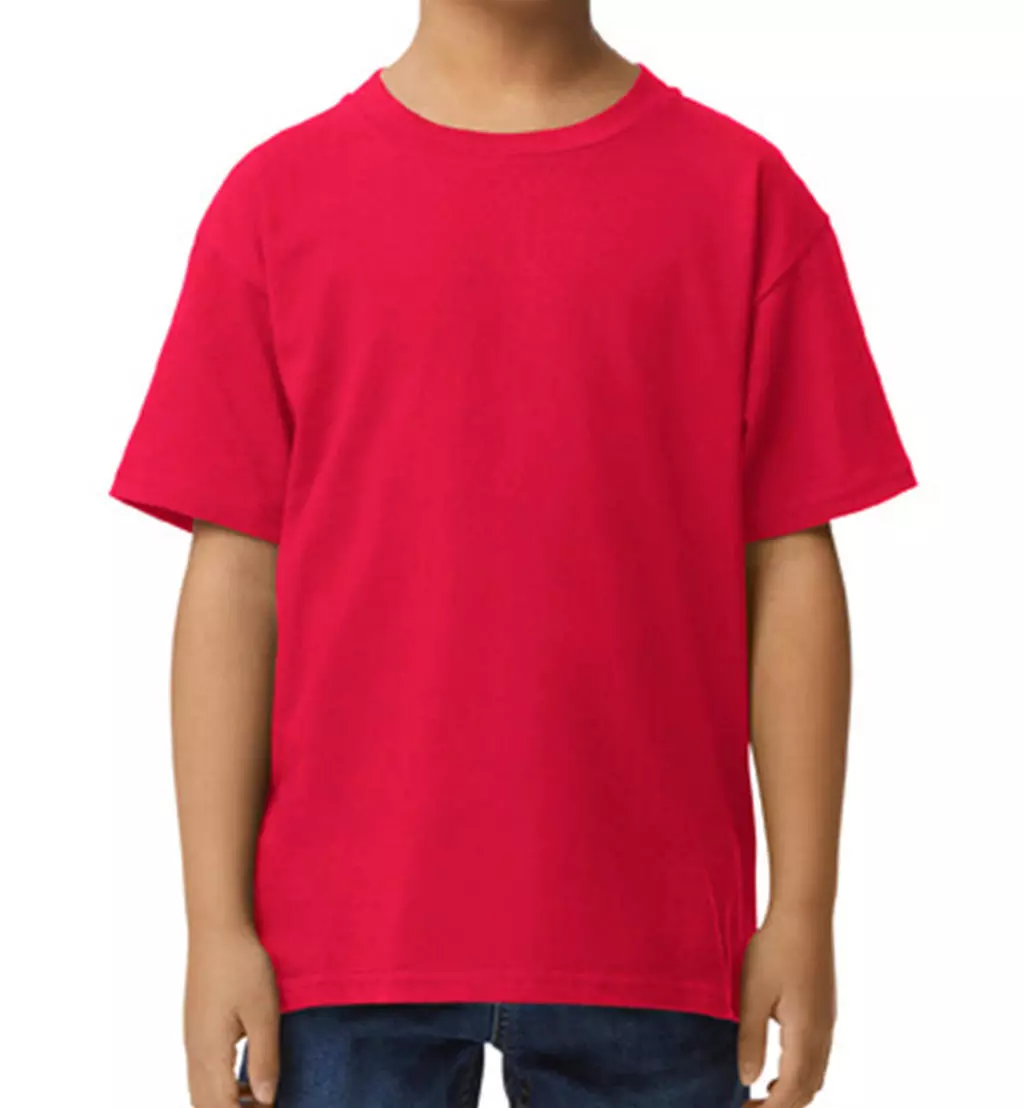 Softstyle Midweight Youth T-Shirt