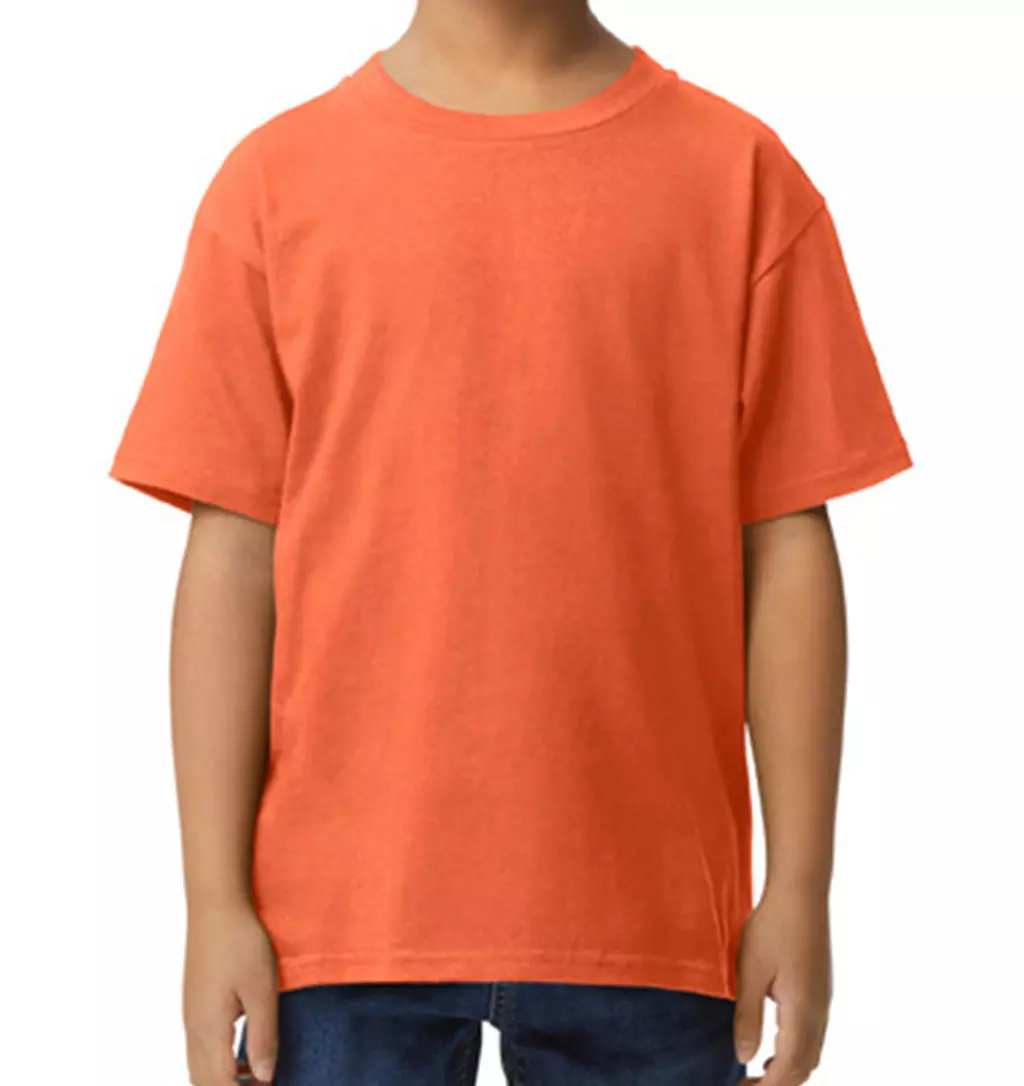 Softstyle Midweight Youth T-Shirt