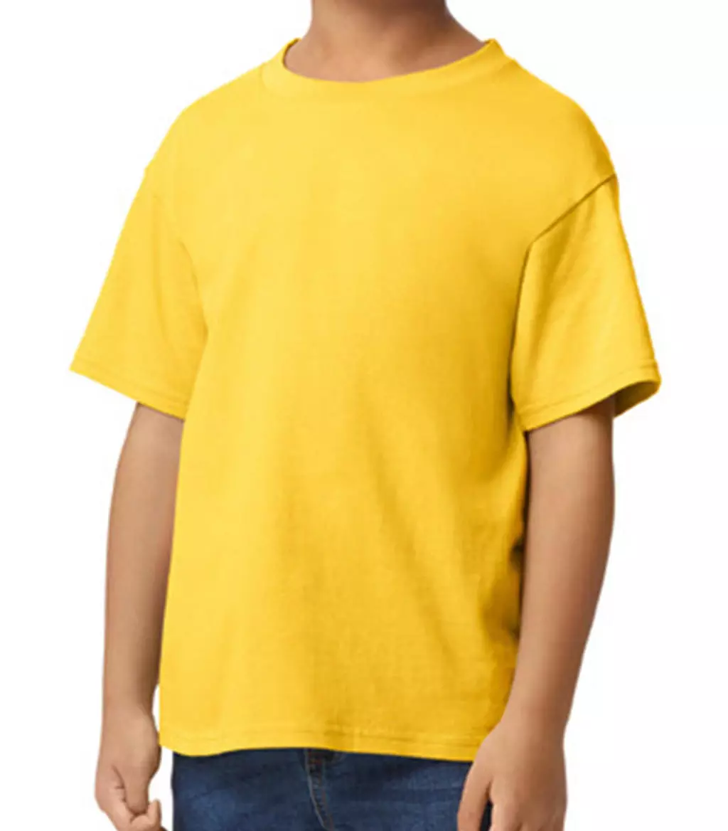 Softstyle Midweight Youth T-Shirt