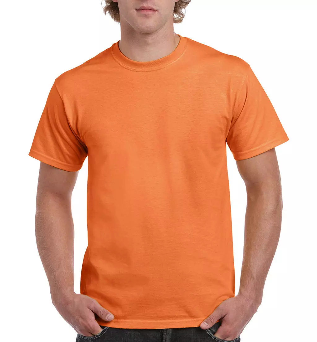 Ultra Cotton Adult T-Shirt