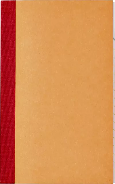 Een Kasboek 135x83mm 72blz 1 kolom oranje koop je bij De Joma BV
