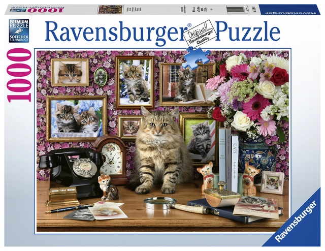 Een Puzzel Ravensburger Mijn katjes 1000 stukjes koop je bij Friese Schrijfkamer