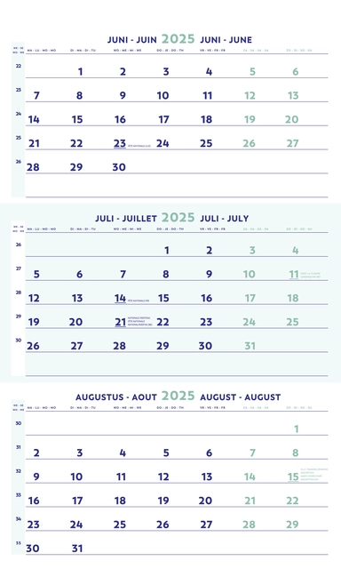 Een 3-Maandskalender 2025 Brepols 30x60cm koop je bij WinkelVolWinkels