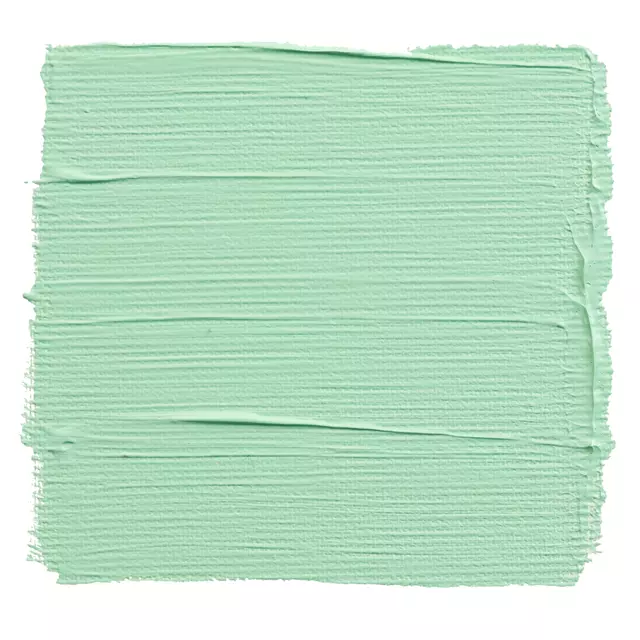 Een Acrylverf TAC 666 pastelgroen tube 75ml koop je bij All Office Kuipers BV