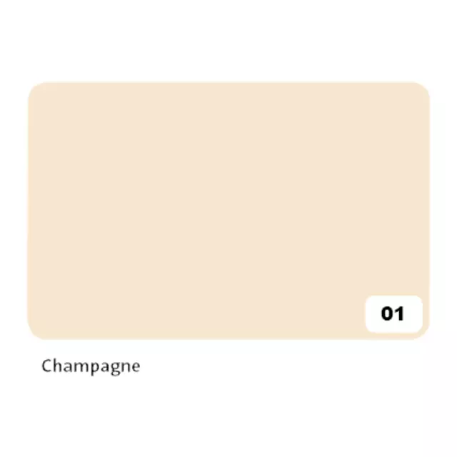 Een Fotokarton Folia 2-zijdig 50x70cm 300gr nr01 champagne koop je bij QuickOffice BV
