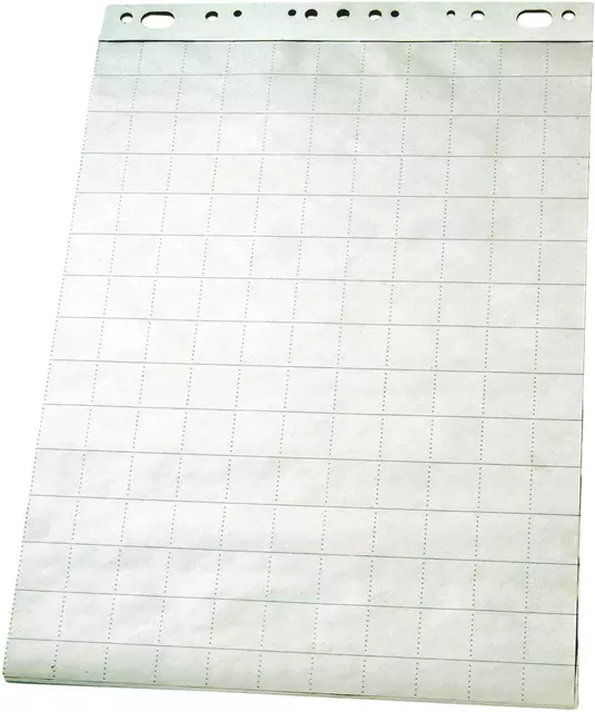 Een Flipoverpapier Esselte 60x85cm ruit/blanco 50vel koop je bij De Rijk Kantoorshop