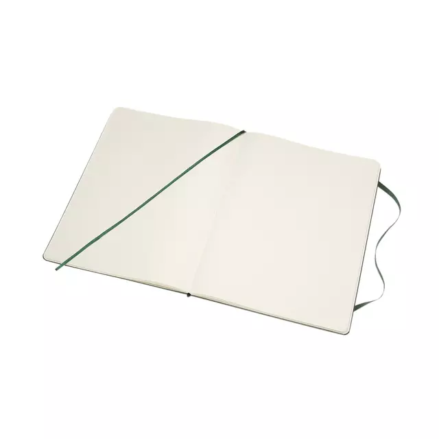 Een Notitieboek Moleskine XL 190x250mm blanco hard cover myrtle green koop je bij De Joma BV
