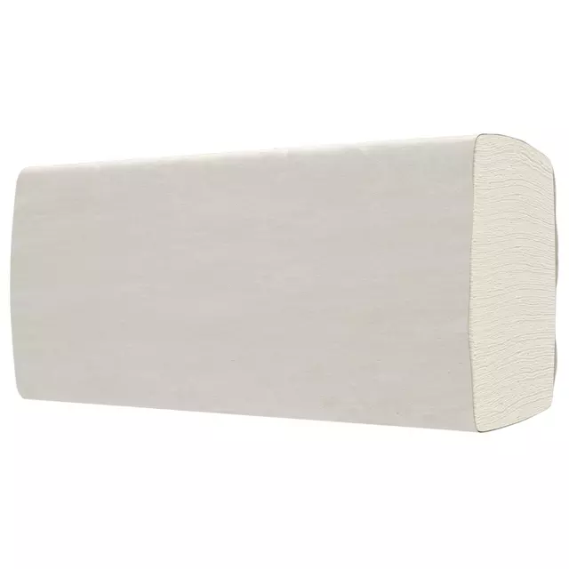 Een Handdoek BlackSatino GreenGrow PT20 Z-vouw 2-laags 206x240mm 25x150vel naturel 275880 koop je bij Quality Office Supplies