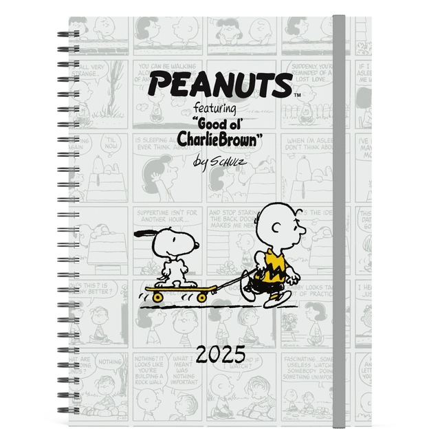 Een Agenda 2025 Lannoo bureau Peanuts 7dagen/2pagina's koop je bij Continu Kantoor