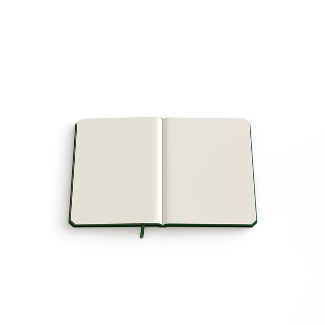 Notitieboek de KEMPEN Origin 110x160mm blanco 160 pagina's 90gr groen