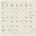 Kalender 2025 Helma 365 30x30cm katten