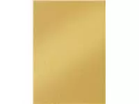 Een Fotokarton Folia 2-zijdig 50x70cm 250gr parelmoer nr65 goud koop je bij De Joma BV