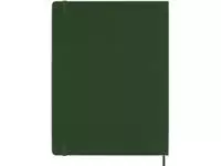 Een Notitieboek Moleskine XL 190x250mm blanco hard cover myrtle green koop je bij De Joma BV