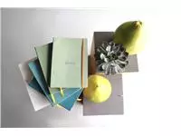 Een Notitieboek Rhodia A5 lijn 80 vel 90gr celadon koop je bij De Joma BV