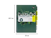 Een Projectboek Pukka Pad Recycled A4 lijn 5-tabs 4-gaats 200 pagina's 80gr groen koop je bij Kantorice office & business supplies