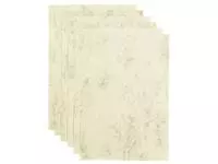 Kopieerpapier Papicolor A4 200gr 6 vel marble ivoor