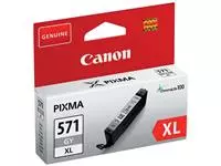 Een Inktcartridge Canon CLI-571XL grijs koop je bij Scheepstra Drachten