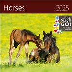 Kalender 2025 Helma 365 30x30cm paarden