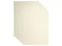 Een Kopieerpapier Papicolor A4 120gr 6 vel metallic ivoor koop je bij Continu Kantoor