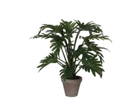 Een Kunstplant Mica Philodendron selloum groen in pot Ø60cm 50cm koop je bij Schellen Boek- en Kantoorboekhandel