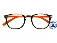 Een Leesbril I Need You +1.00 dpt Junior Selection bruin-oranje koop je bij De Joma BV