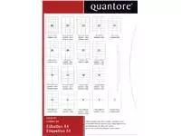 Een Etiket Quantore 63.5x33.9mm 2400 stuks koop je bij Schellen Boek- en Kantoorboekhandel