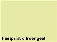 Een Kopieerpapier Fastprint A4 80gr citroengeel 500vel koop je bij Sysdicom BV