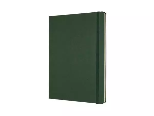 Een Notitieboek Moleskine XL 190x250mm lijn hard cover myrtle green koop je bij Peter Wind