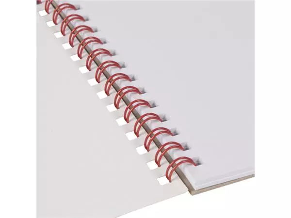 Een Schetsboek Papyrus ballon A4 120gr 20vel koop je bij Quality Office Supplies