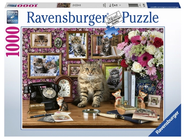 Een Puzzel Ravensburger Mijn katjes 1000 stukjes koop je bij Friese Schrijfkamer