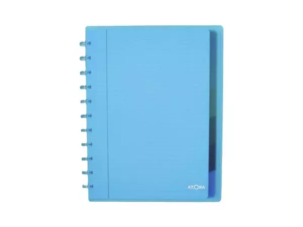 Een Schrift Atoma A4+ ruit 5x5mm 120blz 90gr PP transparant assorti koop je bij Quality Office Supplies