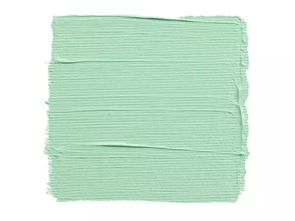 Een Acrylverf TAC 666 pastelgroen tube 75ml koop je bij All Office Kuipers BV