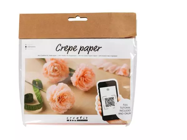 Een Crêpepapier Creativ Company DIY anjers koop je bij Friese Schrijfkamer