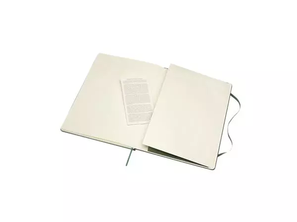 Een Notitieboek Moleskine XL 190x250mm blanco hard cover myrtle green koop je bij Deska Alles voor Kantoor