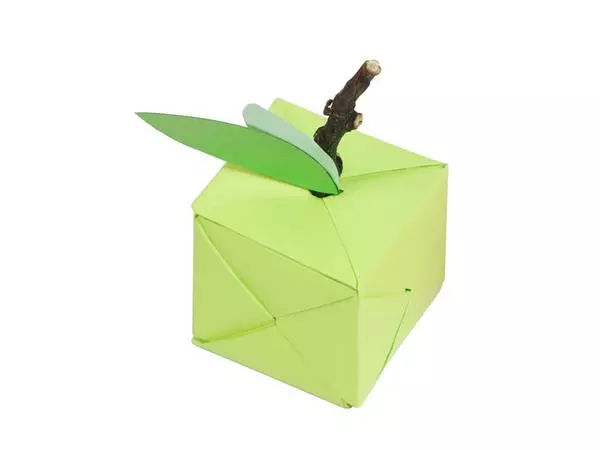 Een Origami Clairefontaine Neon 20x20cm set à 100 vel 70gram assorti koop je bij De Joma BV