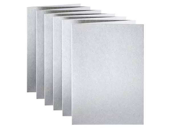 Een Correspondentiekaart Papicolor dubbel 105x148mm metallic zilver pak à 6 stuks koop je bij Kantorice office & business supplies