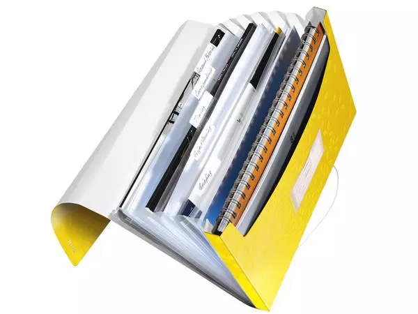 Een Trieur Leitz WOW 6 compartiments PP jaune koop je bij QuickOffice BV