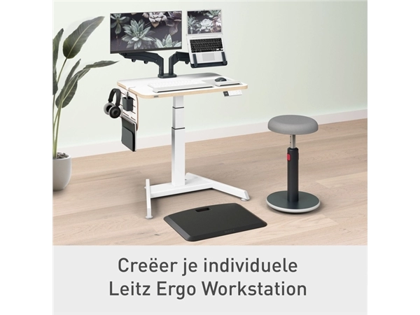 Een Bureau ophangbord Leitz Ergo klein koop je bij Kantoorenthuis.nl