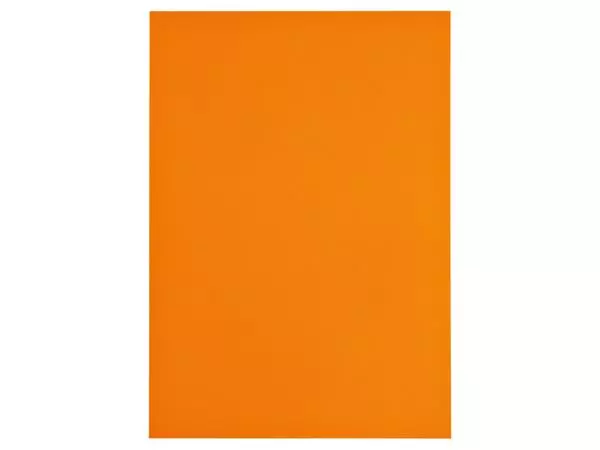 Een Kopieerpapier Papicolor A4 200gr 6vel oranje koop je bij Schellen Boek- en Kantoorboekhandel