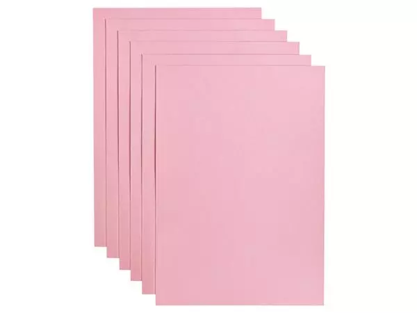 Kopieerpapier Papicolor A4 100gr 12 vel babyroze