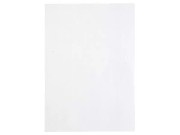 Een Kopieerpapier Papicolor A4 90gr 12vel kraft wit koop je bij De Joma BV