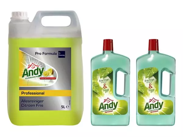 Een Allesreiniger Andy citroen fris 5 liter koop je bij Kantorice office & business supplies