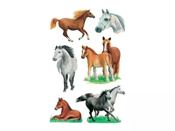 Een Etiket HERMA 3553 paarden rassen koop je bij Schellen Boek- en Kantoorboekhandel