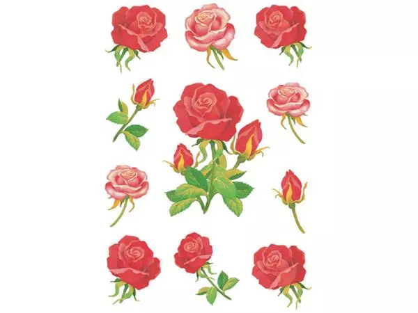 Een Etiket HERMA 3581 rozen koop je bij Schellen Boek- en Kantoorboekhandel
