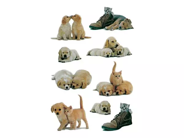 Een Etiket HERMA 5606 puppy's koop je bij Schellen Boek- en Kantoorboekhandel