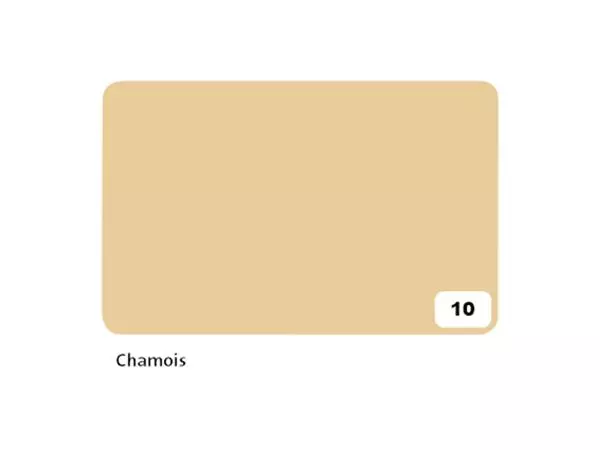 Een Fotokarton Folia 2-zijdig 50x70cm 300gr nr10 chamois koop je bij De Joma BV