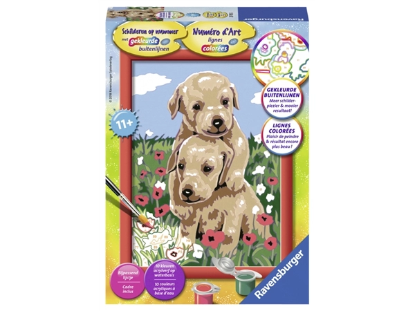 Een Schilderen op nummer - Knuffelende puppies koop je bij Clippz! Office Supplies