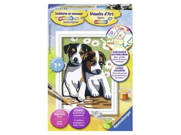 Een Schilderen op nummer - Schattige puppies koop je bij Clippz! Office Supplies