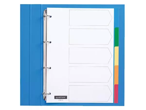 Een Tabbladen Quantore 4-gaats 5-delig assorti tabs PP koop je bij WinkelVolWinkels