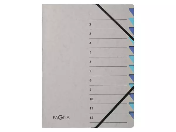 Een Sorteermap Pagna Easy A4 12 tabs lichtblauw/donkerblauw koop je bij Kantorice office & business supplies